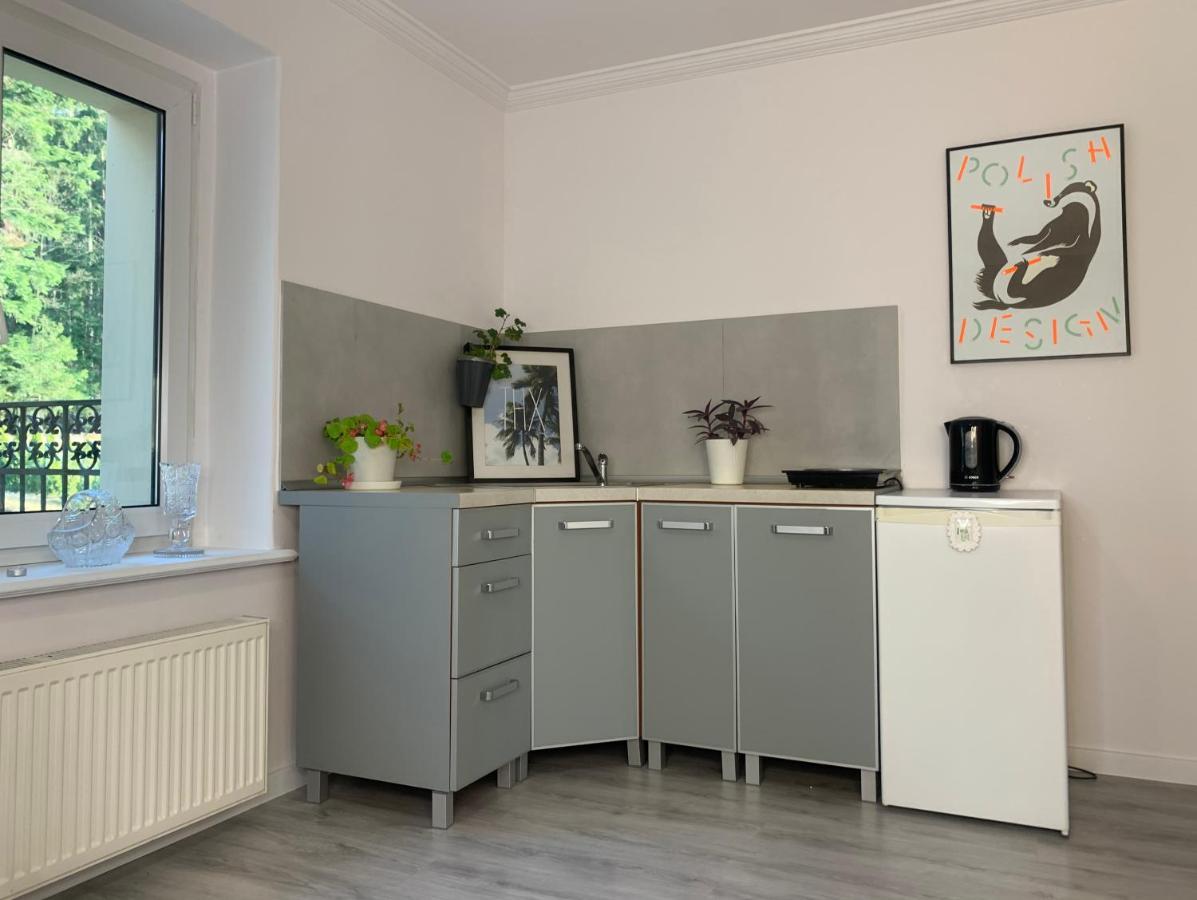 Apartament Lesny - Lesna 30 Kudowa-Zdroj Dış mekan fotoğraf