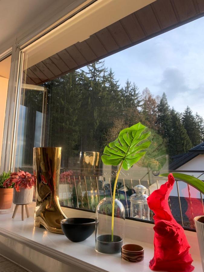 Apartament Lesny - Lesna 30 Kudowa-Zdroj Dış mekan fotoğraf